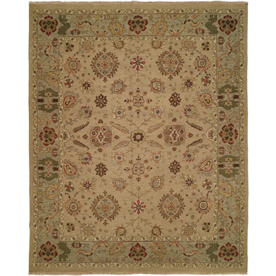 Wool Oriental Area Rug in Ivory