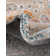 Alize Oriental Indoor Rug