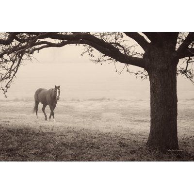 Hazy Horse I