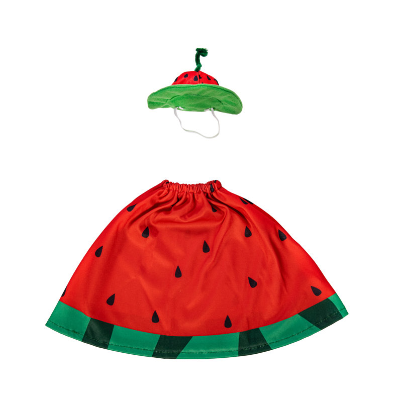 Porch Goose Outfit, Watermelon Season, Watermelon Dress