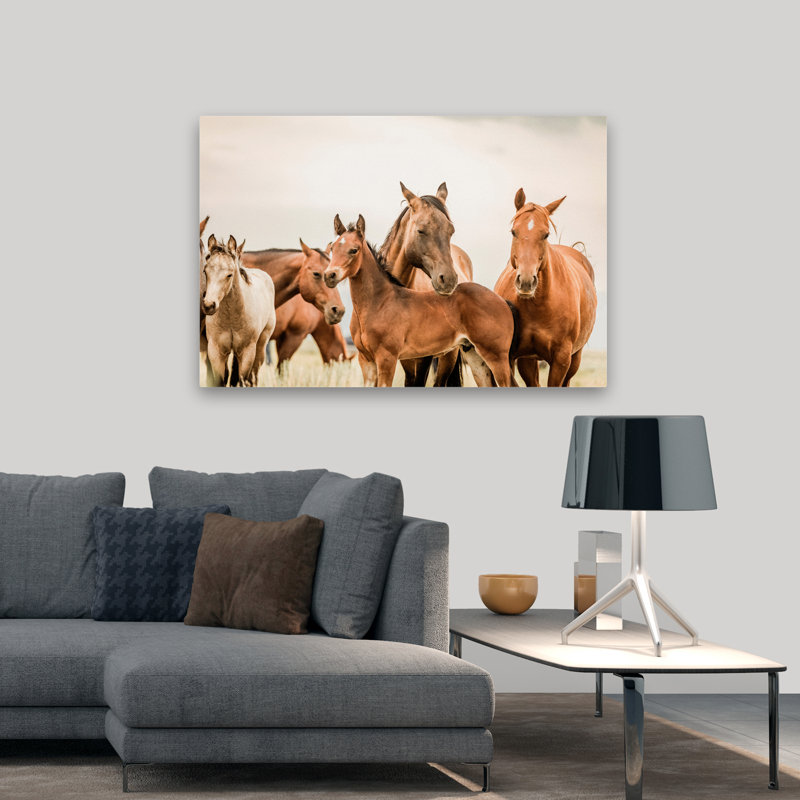 Hartville - photographie, animaux, faune, chevaux, art, H 32 po x l 48 po