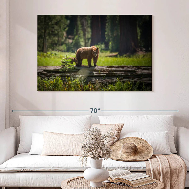 Crowle Sequoia Wild Bears