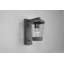Evelore Outdoor Armed Sconce