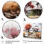Masumah " Farmhouse Harmony "-1445103771-1445103846