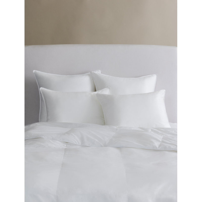 Arcadia Microfiber All Season Down Alternative Comforter, Queen, Light