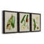 «Elegant Tropicals I», ensemble de 3 reproductions d'art sur toile-530225525-530225534