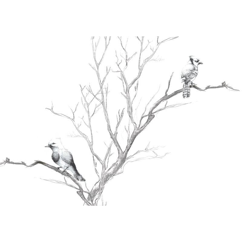 Birdies Notebook - Wrapped Canvas Art Prints, 30cm H x 46cm W x 3.8cm D