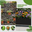 Boîte à fleurs avec métal H 72 po x l 47 po Acre-714329740