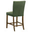 Chaise de salle à manger à hauteur de comptoir Paxton (ensemble de 2)-1626932369