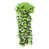 Green est en rupture de stock