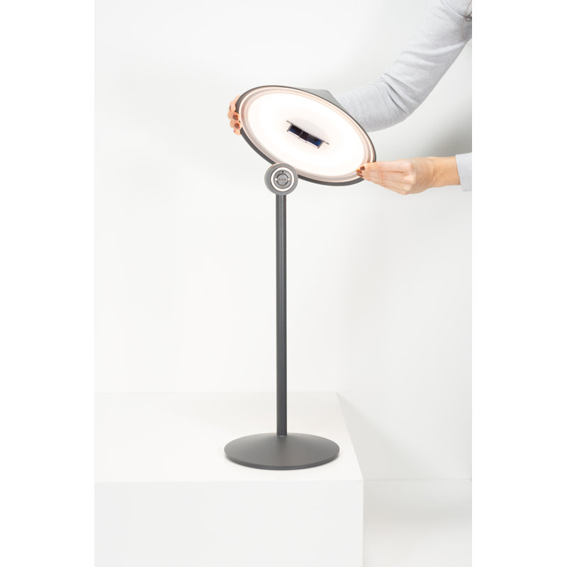 Pina L Desk Lamp, Titanium