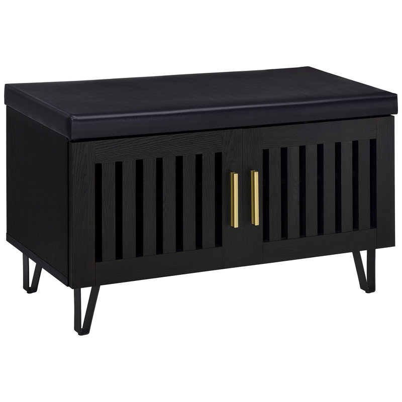 Banc de rangement moderne à 2 portes, Black