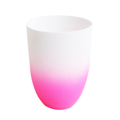 ASA Selection Neonvase