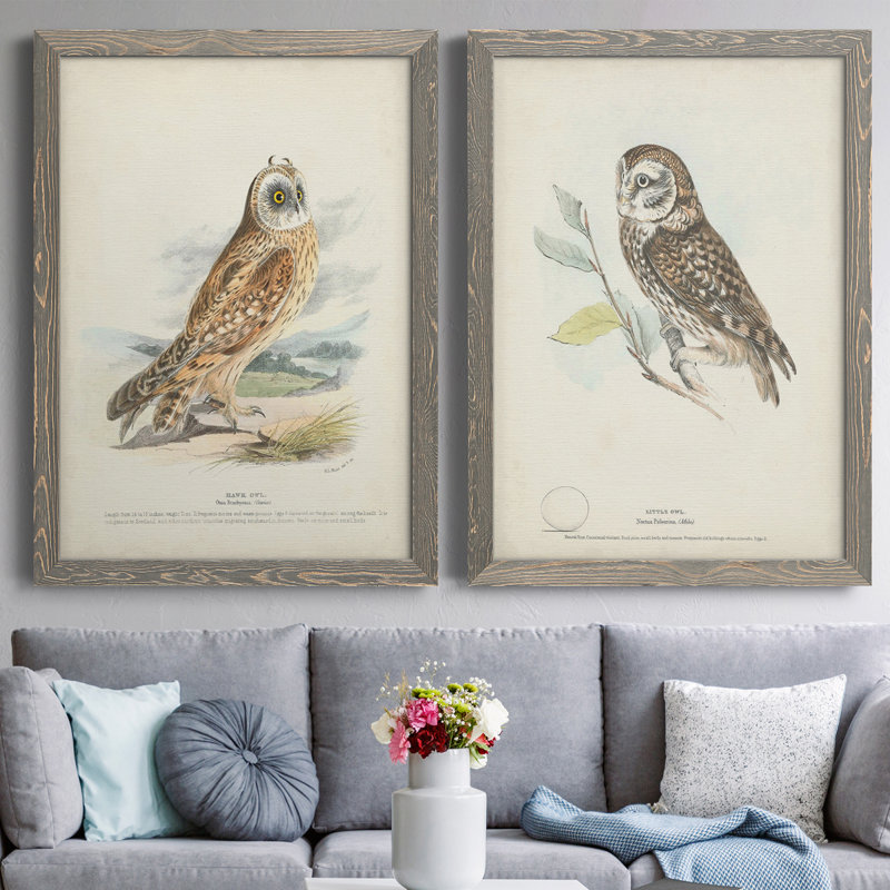 Toile encadrée de qualité supérieure Hawk Owl - prête à être accrochée, H 24 po x l 36 po x P 1,5 po, Toile avec cadre gris
