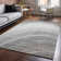 Premium Machine Washable Cerrito AMF584 Gray Rug