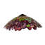 Dome Lamp Shade