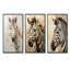 Beige et doré couleur zébrée - ensemble de 3 impressions sur toile zébrées-349234588-349234591