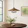 Jared 6 - Light Cone Pendant