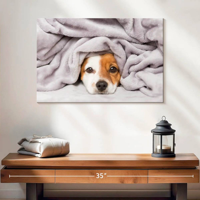 Couverture pour chien Brampt, H 16 po x l 24 po