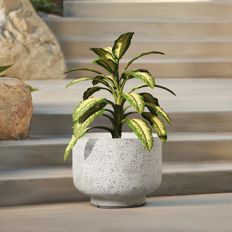 Blanc rustique avec pot rond gris, H 11,2 po x l 14,8 po x P 14,8 po