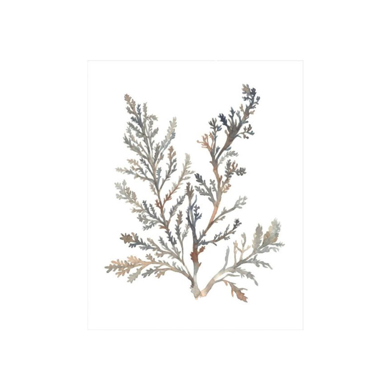«Water Colored Seaweed IV» par Guseul Park - impression, H 30 po x l 24 po x P 1,5 po, Image au pinceau gel