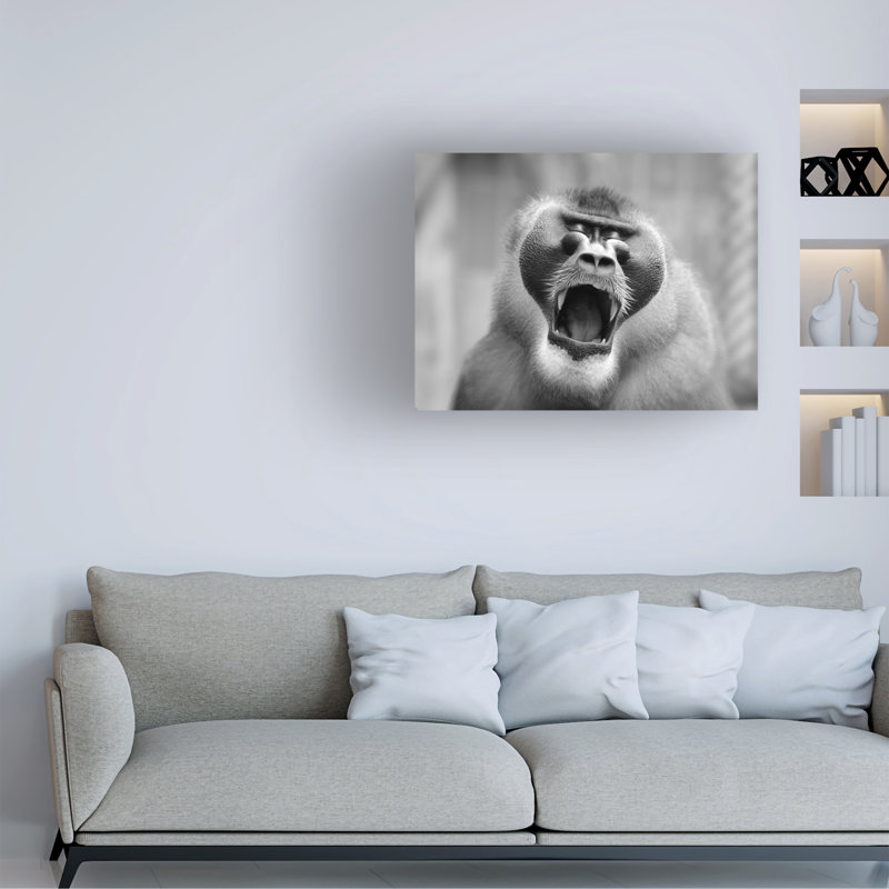 Antje Wenner-Braun The Yawn I Canvas Art, 14" H x 19" W