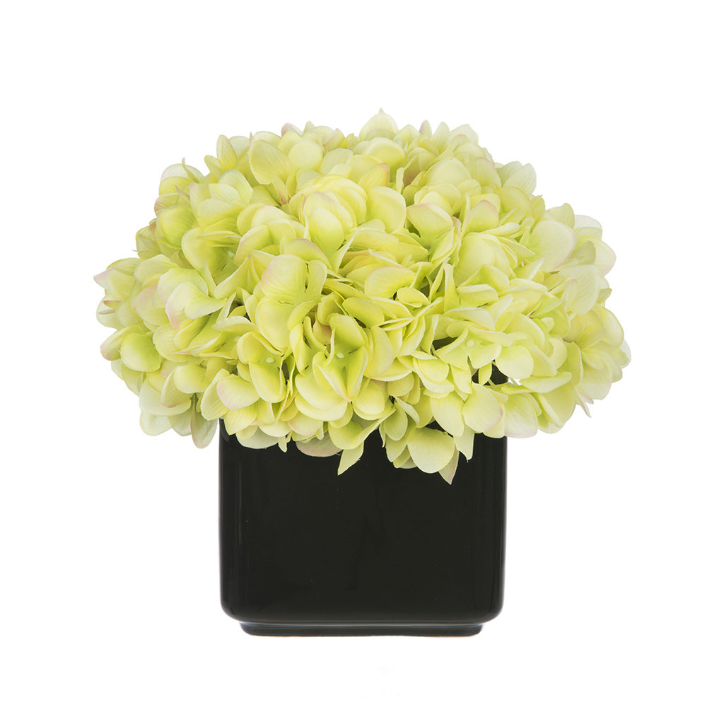 Hydrangeas Arrangement in Vase Winston Porter Flower 