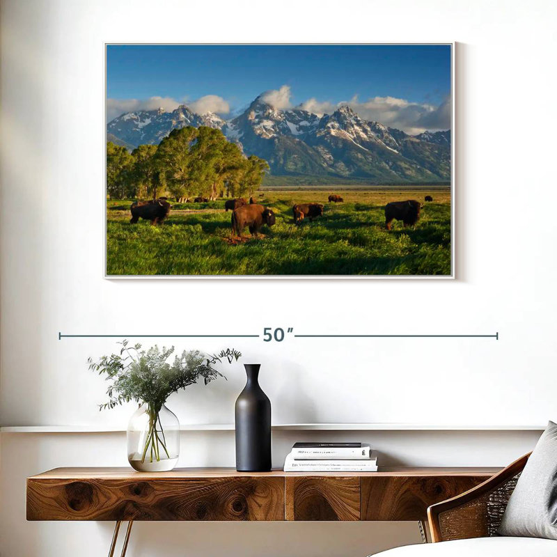 Bison de Grand Teton, Cadre flottant blanc, 40 po x 27 po
