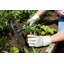 Jardinière Terra: pelle à main tout usage