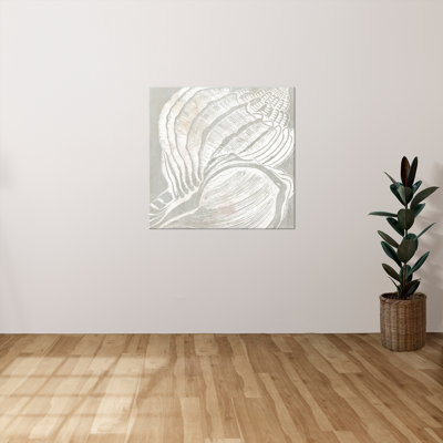 "Seashell Close Up II" by Carol Robinson Print on Canvas