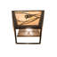 1 - Light Flush Mounted Sconce