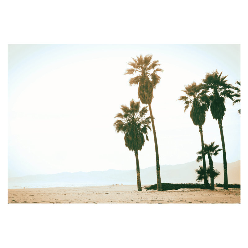 Palm Trees Photography 2 - Wrapped Canvas Painting, 30cm H x 46cm W x 3.8cm D