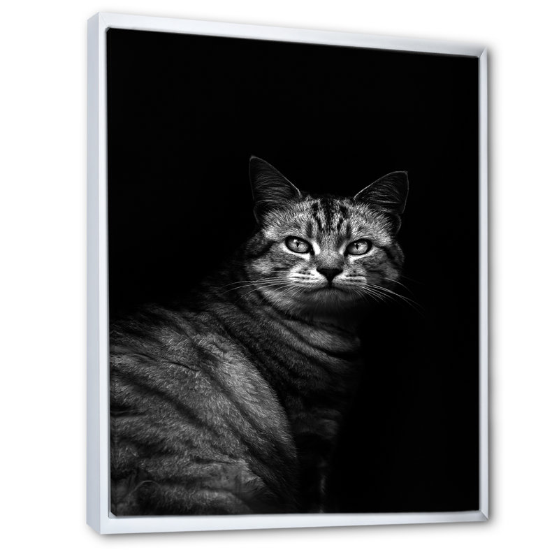 «Cute Cat in Black and White», reproduction de cadre photo sur toile, H 36 po x l 24 po x P 1 po, Cadre flottant blanc