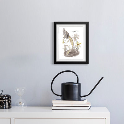 Benno -Gallery Wrapped Canvas