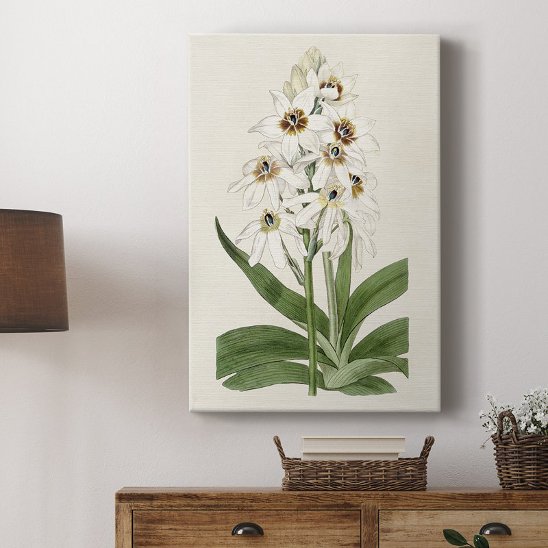 Flore Albo I - Gallery Cavas