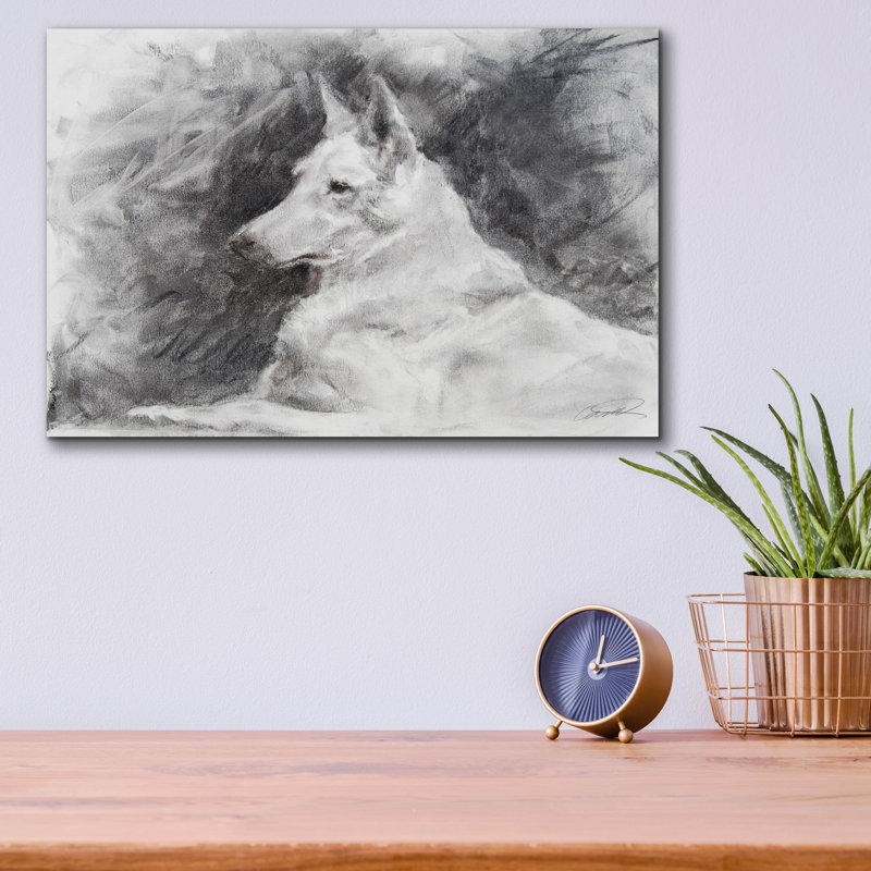 «White Shepherd In Gray» par Robert Campbell, H 12 po x l 16 po x P 0,13 po