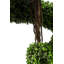 150cm Faux Topiary in Pot Liner