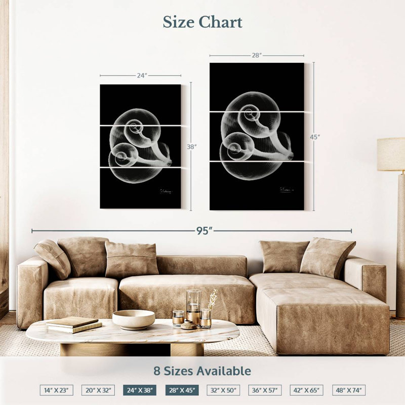 Aletra Conjoined Shells, 38" H x 24" W