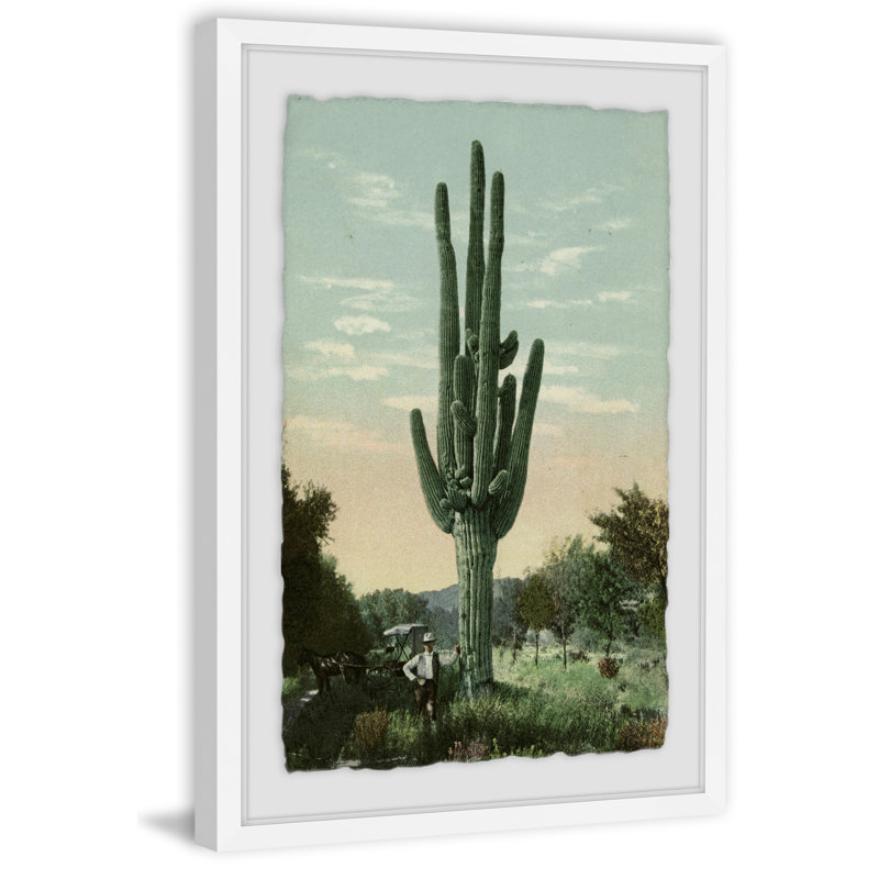" Lofty Cactus " by Marmont Hill, 30" H x 20" W x 1.5" D