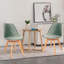 Carol 45cm H Velvet Upholstered Side Chair-931547263