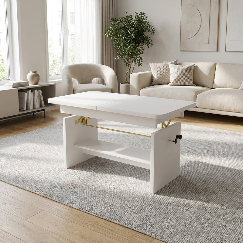 Lift Top Coffee Table with Storage, Biel Alpejska
