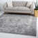 Ameire Oriental Indoor Rug