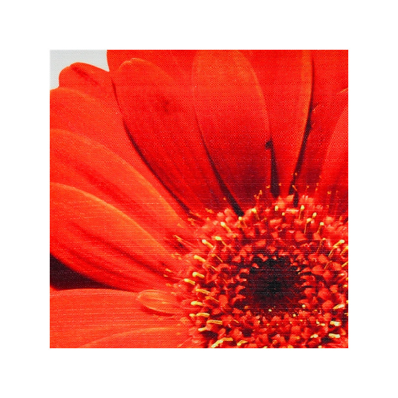 'Daisy Flower Indoor/Outdoor Throw Pillow, Red