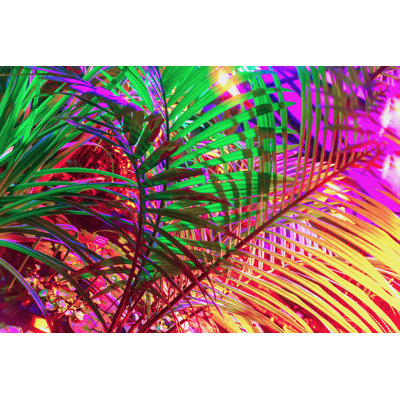 Pirtleville " Tropical Natural Palm Tree "