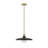 1-Light Metal Adjustable Pendant Light with Etched Inner Glass Shade