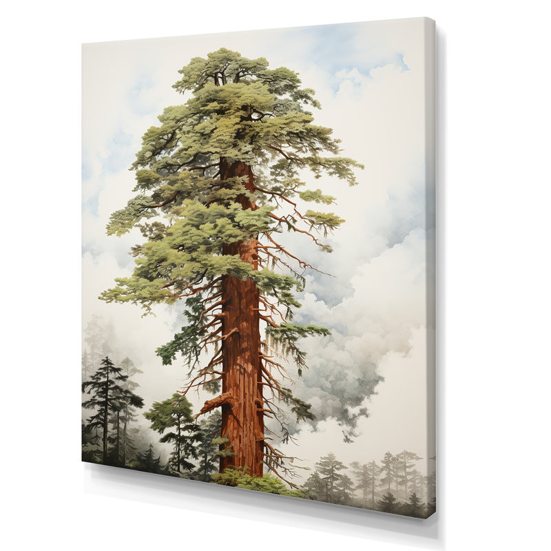 Redwoods Rise Solitude Landscape, reproduction d'art sur toile, H 40 po x l 30 po x P 1,5 po, Toile tendue