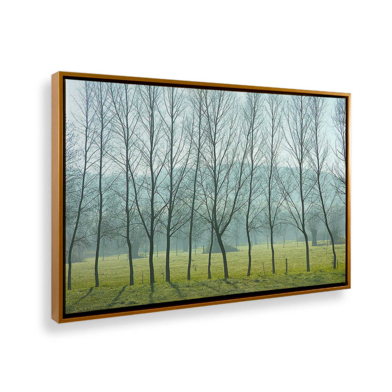 «Misty Normandy Meadow» sur toile par Caroyl La Barge, Cadre flottant or poli, H 34 po x l 50 po x P 1,75 po
