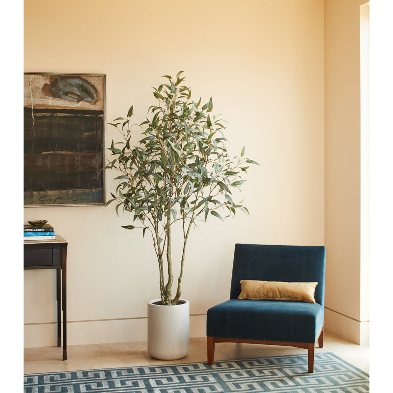 TREE 7FT Willow Eucalyptus KD
