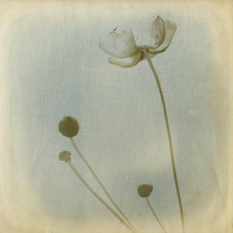 Faded Away I by Jennifer Jorgensen - Wrapped Canvas Print, 51cm H x 51cm W