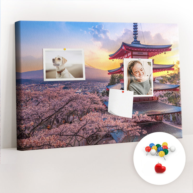 Ciera Cork Corkboard / Bulletin Board